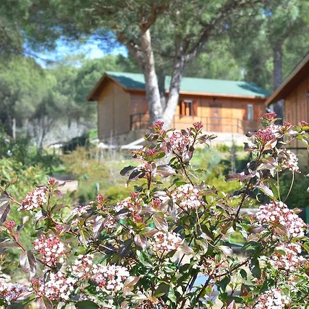 Paraje San Gines Apartamento